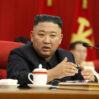 kimin 1
