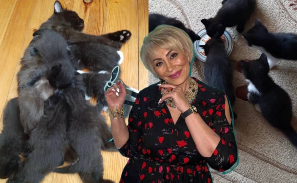 Evində 6 pişik saxlayan əməkdar artist kimdir? - VİDEO