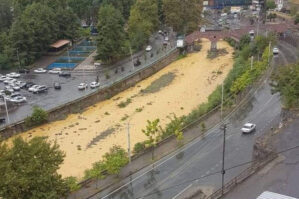 Ermənistanın qanunsuz fəaliyyəti ilə bağlı bəyanat