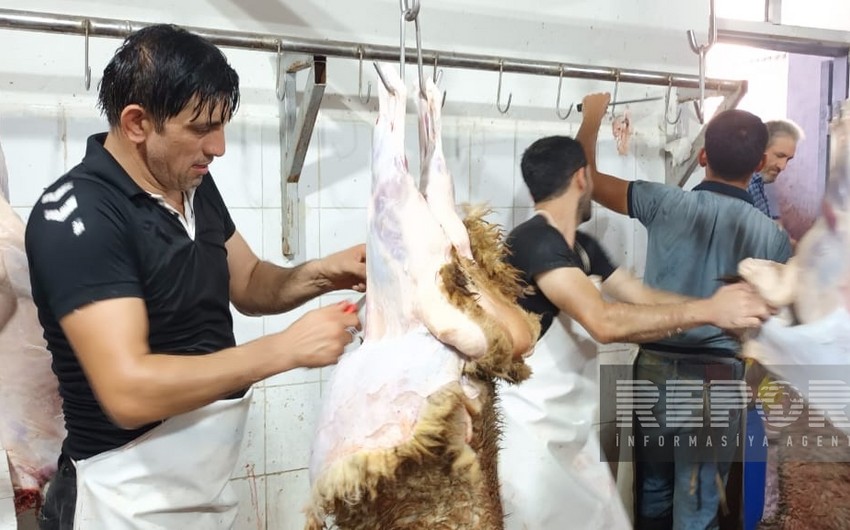 qurban 1