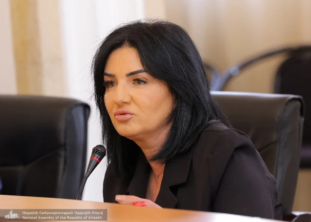 Araik bunu bizə açıq şəkildə dedi - Akopyan