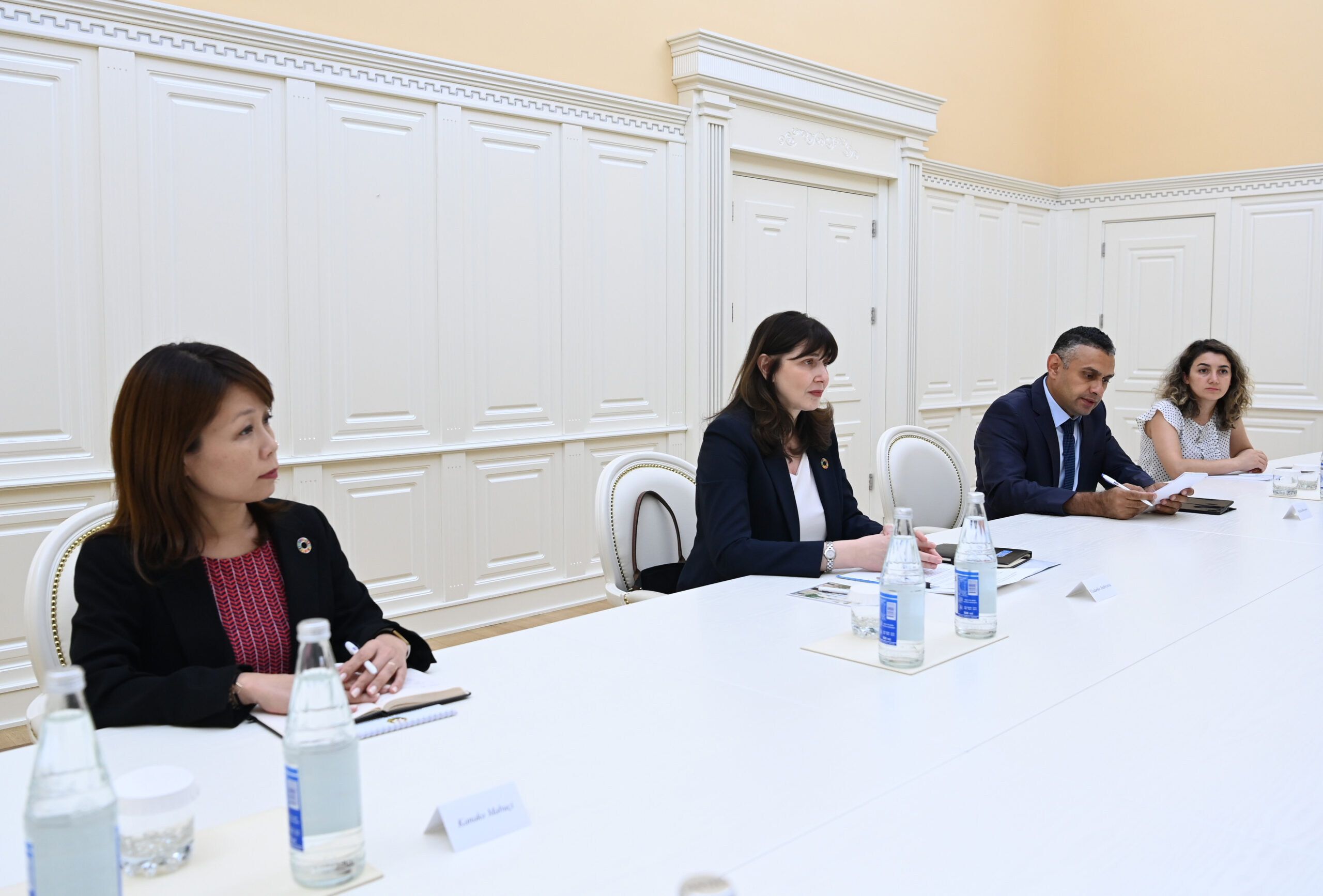 Azərbaycanla BMT arasında bu məsələlər müzakirə edildi - FOTO