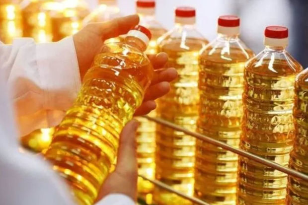 “Kırlangıc” qarğıdalı yağları təhlükəlidir? - AÇIQLAMA