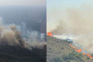 Türkiyədə daha bir güclü meşə yanğını - VİDEO