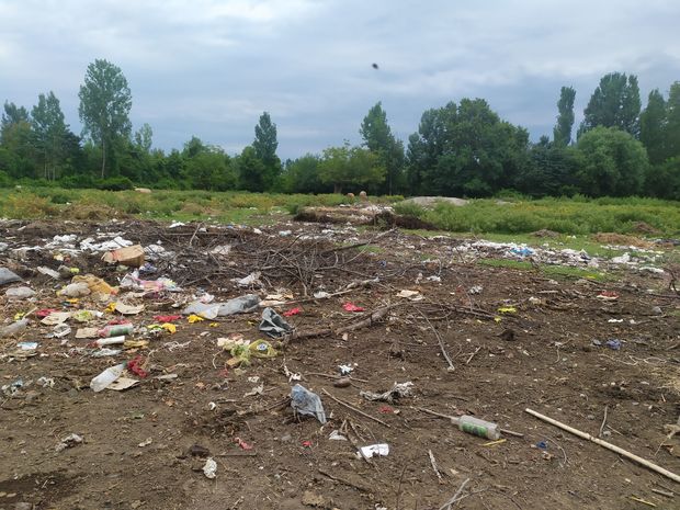 Qaxda bələdiyyə sədri cəzalandırıldı - FOTO