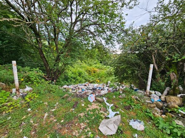 Qaxda bələdiyyə sədri cəzalandırıldı - FOTO