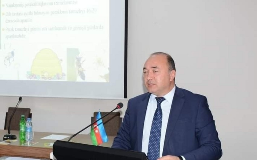 Naxçıvanda təyinat: Elsevər Əsədova vəzifə verildi