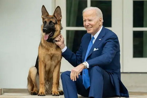 Baydenin iti yeddi nəfəri qapdı, Ağ Ev isə... - VİDEO