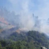deprem kenti osmaniyenin duzici ilcesinde orman yangini bQG2