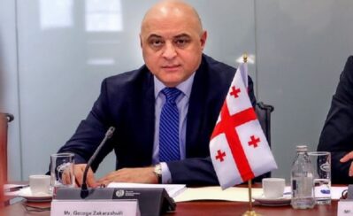 giorgi zakarashvili