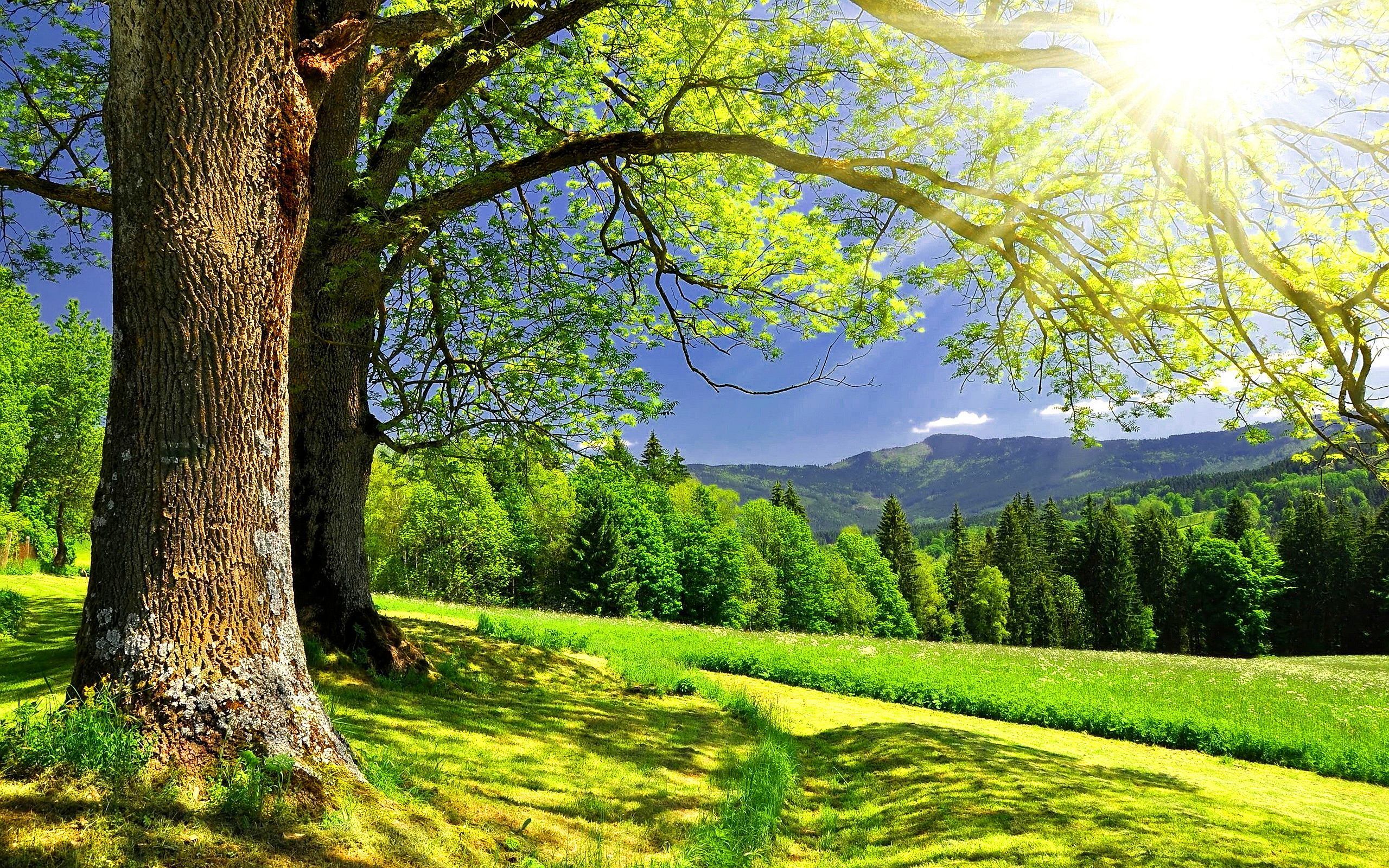 Sabah 41 dərəcə isti olacaq 1 hava 09