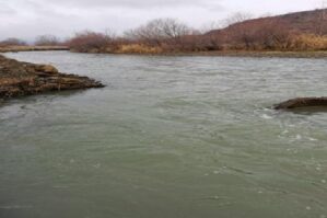 Ermənilərin Qafan təhlükəsi barədə müraciət edildi