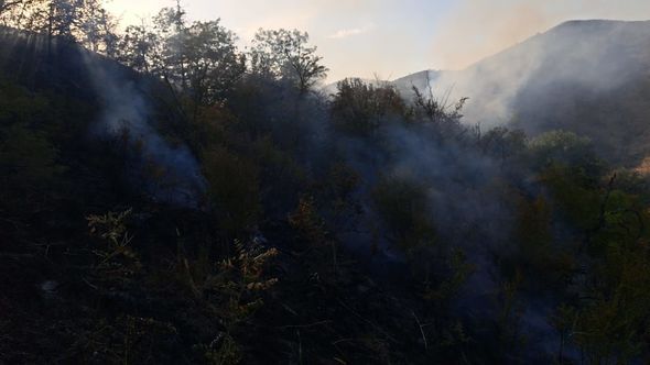 Ağsuda dağlıq ərazi yanır - FOTO / VİDEO