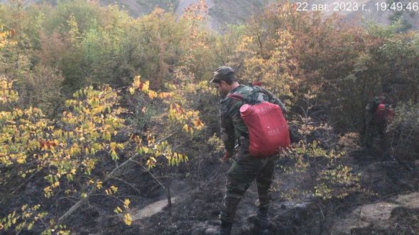 Ağsuda dağlıq ərazi yanır - FOTO / VİDEO