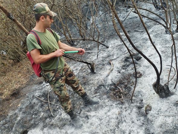Ağsuda dağlıq ərazi yanır - FOTO / VİDEO