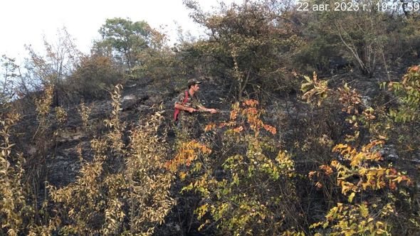 Ağsuda dağlıq ərazi yanır - FOTO / VİDEO