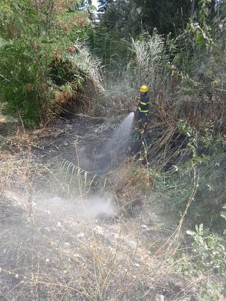 Ağsuda dağlıq ərazi yanır - FOTO / VİDEO