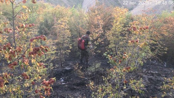 Ağsuda dağlıq ərazi yanır - FOTO / VİDEO