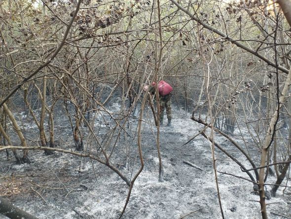 Ağsuda dağlıq ərazi yanır - FOTO / VİDEO 10 Ağsuda dağlıq ərazi yanır - FOTO / VİDEO