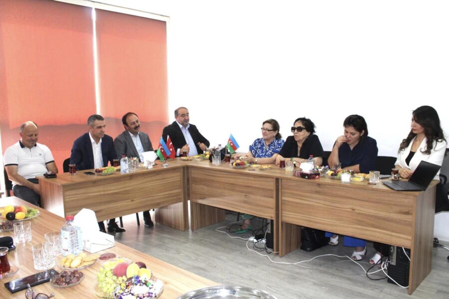 Fake news dövlətin təhlükəsizliyini təhdid edir – ona qarşı necə mübarizə aparmalı?