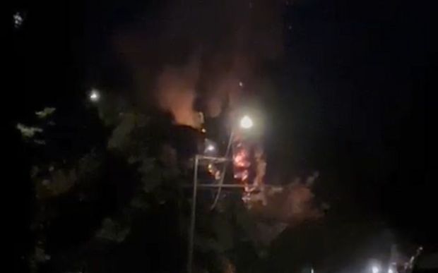 Sumqayıtda yanğın: şam ağaclarına ciddi ziyan dəyib - VİDEO