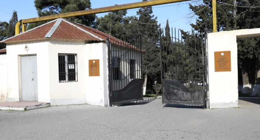 Agciyer xestelikleri 123424