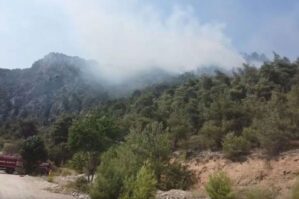 Türkiyənin daha bir bölgəsində meşə yanır