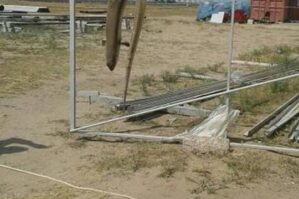 Bakıda nəhəng kərtənkələ təşviş yaratdı - FOTO