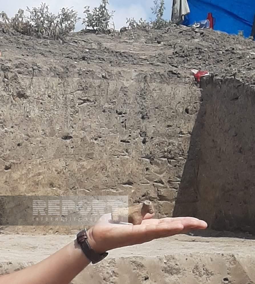 Cəlilabadda unikal tapıntı - FOTO