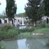 berde 1