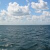deniz 11