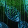 dna 3888228 1920