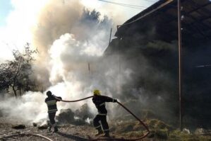 Bayılda açıq sahədə yanğın - VİDEO