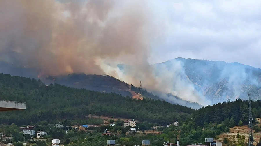 Türkiyədə meşə yanğını üç gündür davam edir