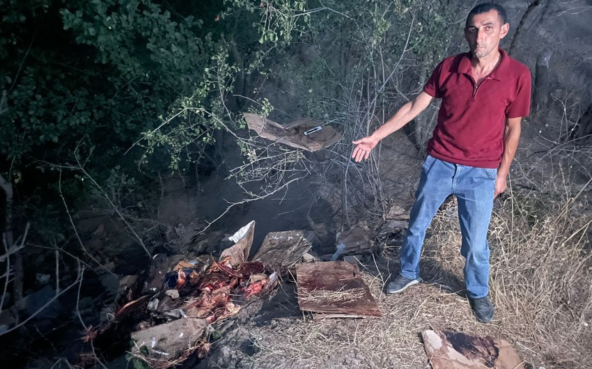 Xəstə atları kəsərək satmaq istəyən şəxslər tutuldu - FOTOLAR