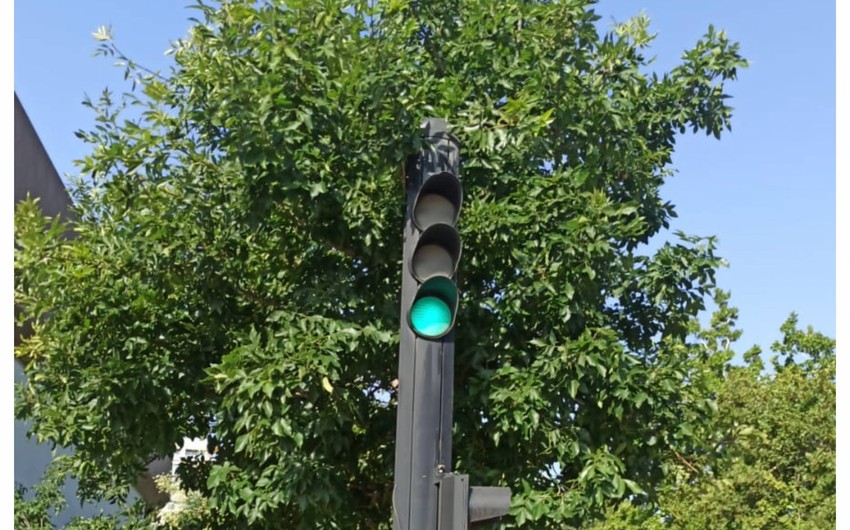 NİİM müraciət yaydı: problem həll edilib - FOTOLAR