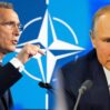 putin nato