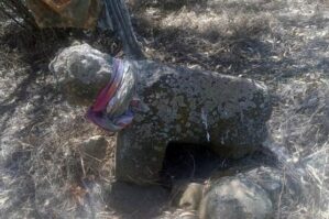 Cəlilabadda unikal tapıntı - FOTO