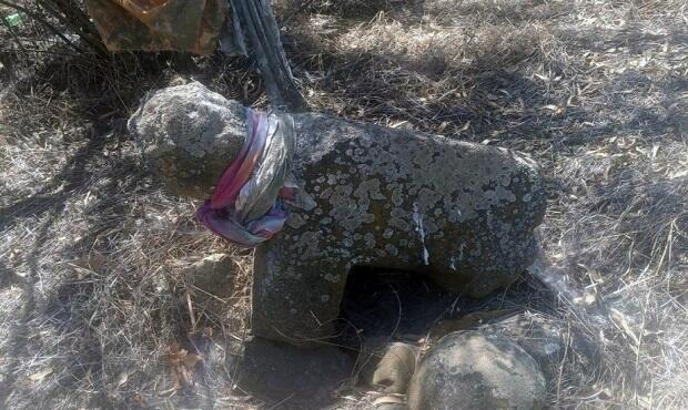 Cəlilabadda unikal tapıntı - FOTO 1 Cəlilabadda unikal tapıntı - FOTO