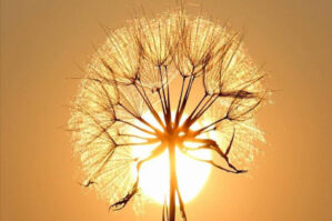 Bakıda temperatur normadan yüksək olub