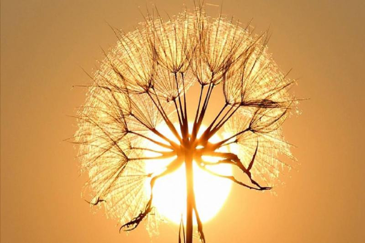 Bakıda temperatur normadan yüksək olub