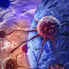 virus