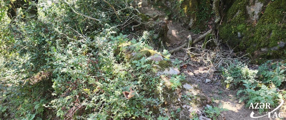 Azərbaycanda qədim abidə aşkarlandı - FOTO