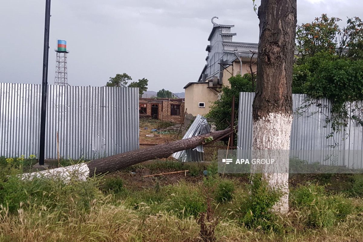 FACİƏ! Buzovnada külək darvazanı aşırdı, uşaq öldü