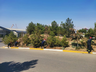 Bu gün Xətai rayonunda iməcilik keçirilib - FOTOLAR