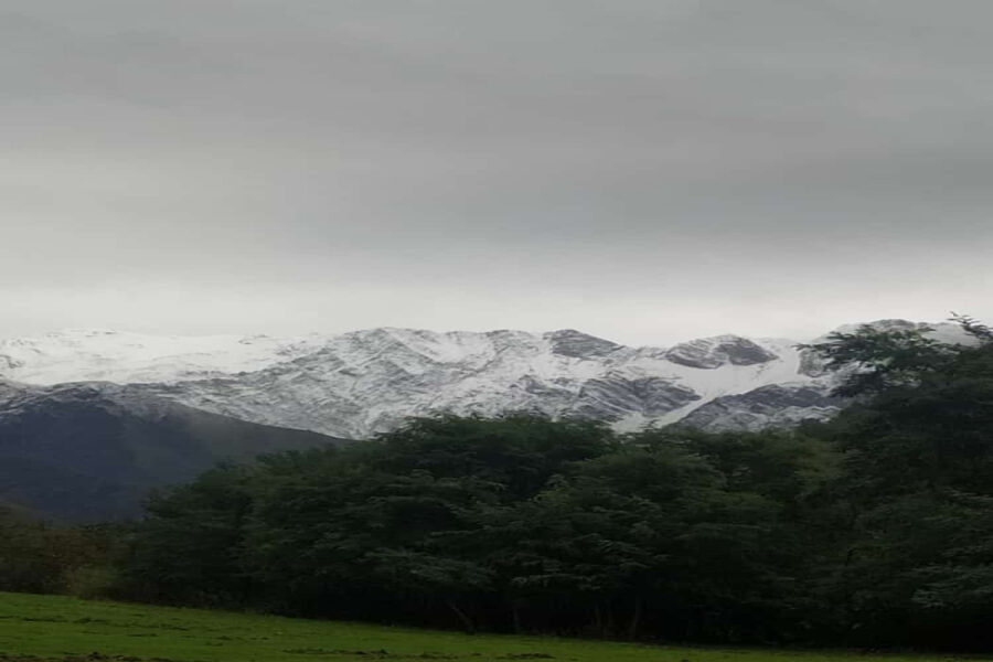 Qaxda dağlıq ərazilərə qar yağdı - FOTOLAR