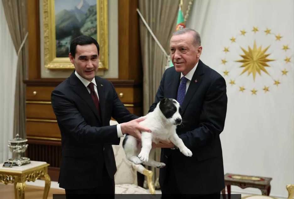 Ərdoğanla Berdiməhəmmədovdan bir-birilərinə unikal hədiyyə - FOTO