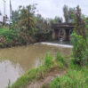 cay 1