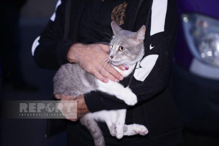 Füzuliyə qayıdan daha 22 ailəyə evlərinin açarları verildi - YENİLƏNİB