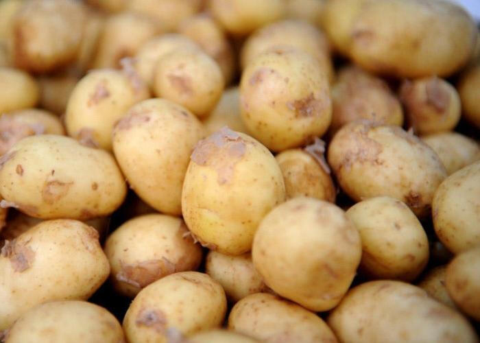 Azərbaycanda kartof ucuzlaşacaq? - AÇIQLAMA